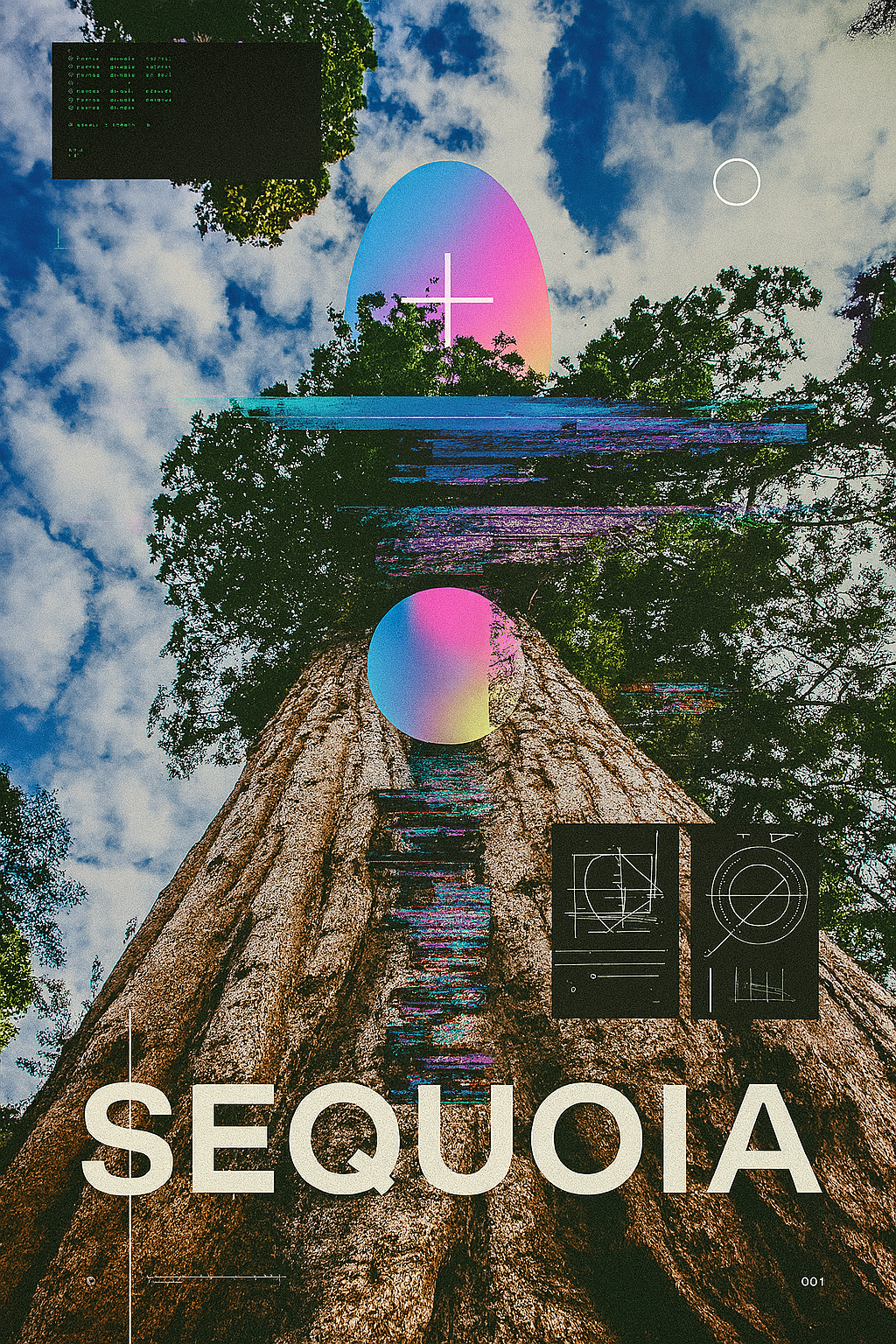 SEQUOIA - Framed Print