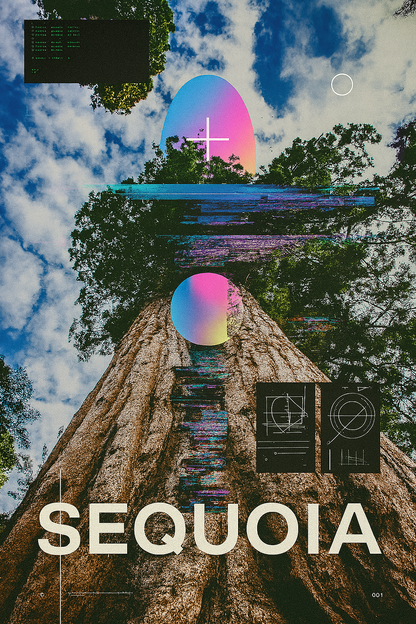 SEQUOIA - Framed Print